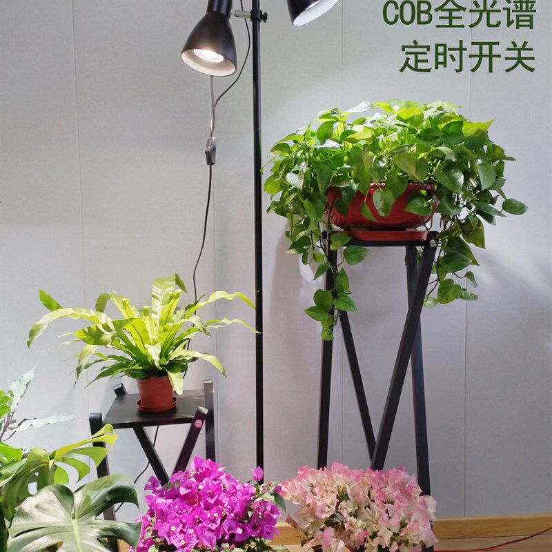 倍力生花卉绿植多肉水草仿太阳光全光谱室内落地双头植物补光灯