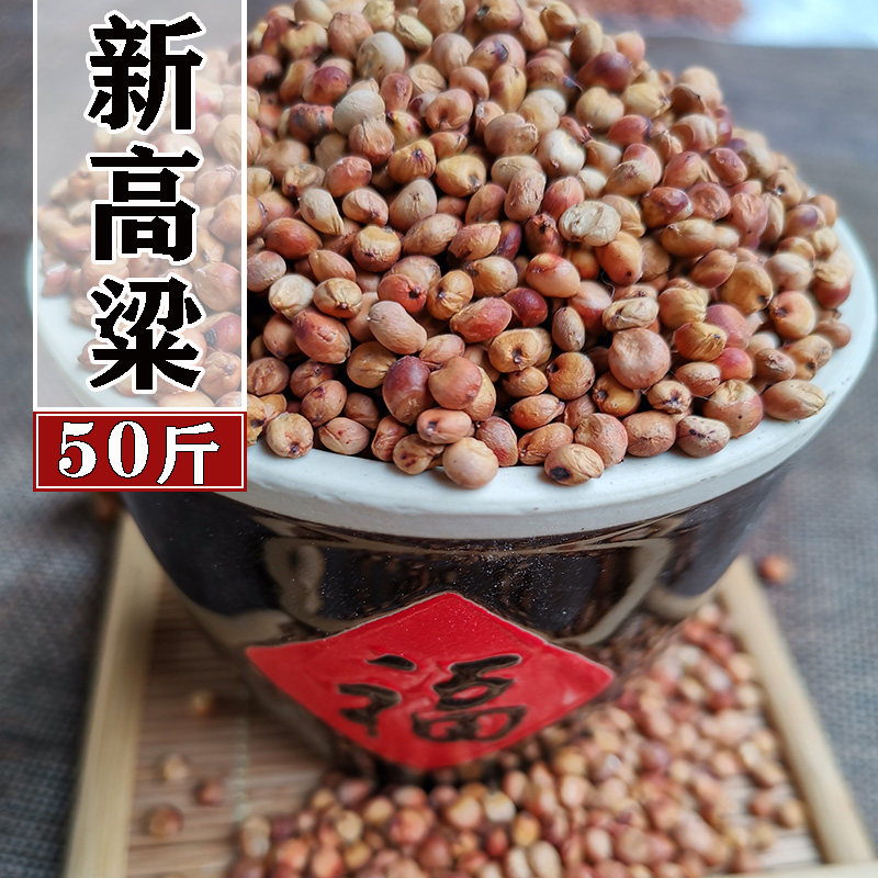 红高粱带皮专用酿酒醋喂鸽粮鸟食饲料50斤包邮颗粒饱满去壳高粱