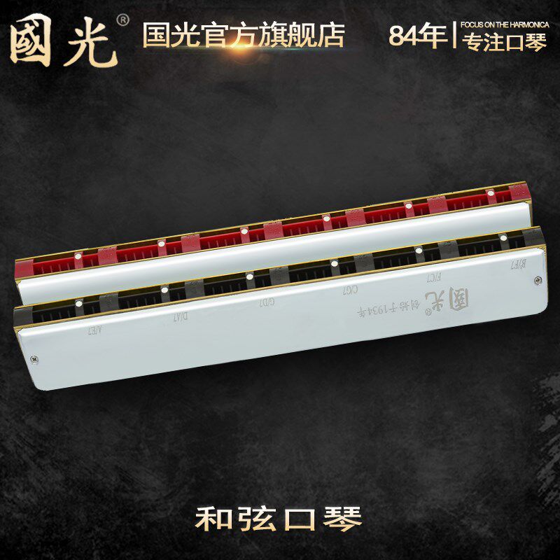 国光中音笛声高音口琴24孔双联和弦合奏48组双排25孔低音贝斯乐队