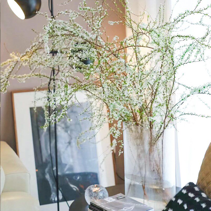 雪柳干枝水养鲜枝重瓣支盆栽水培植物鲜花卉室内插花绿植银柳好活