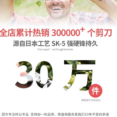 绿苑修枝剪园林果树修枝省力sk5剪刀绿化花卉修枝剪刀粗枝强力剪