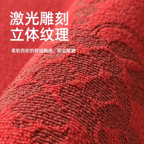入户门地垫进门门垫门口玄关客厅地毯脚垫可裁剪红色喜庆高级地毯