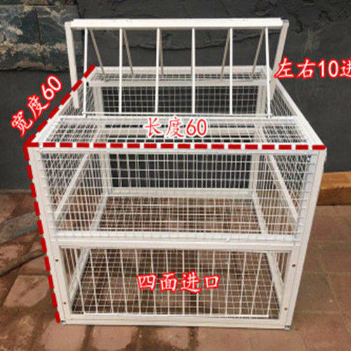 信鸽撞门活络门鸽子活络条天落笼收鸽机只进不出进门器鸽子用具品