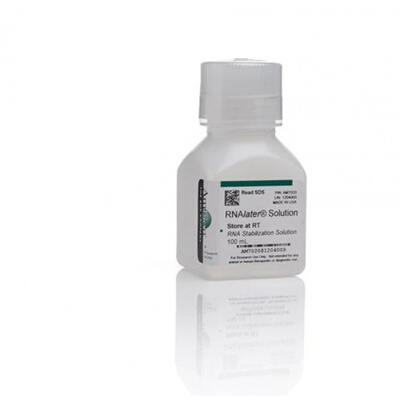 Invitrogen RNAlater  100ml稳定液 AM7020