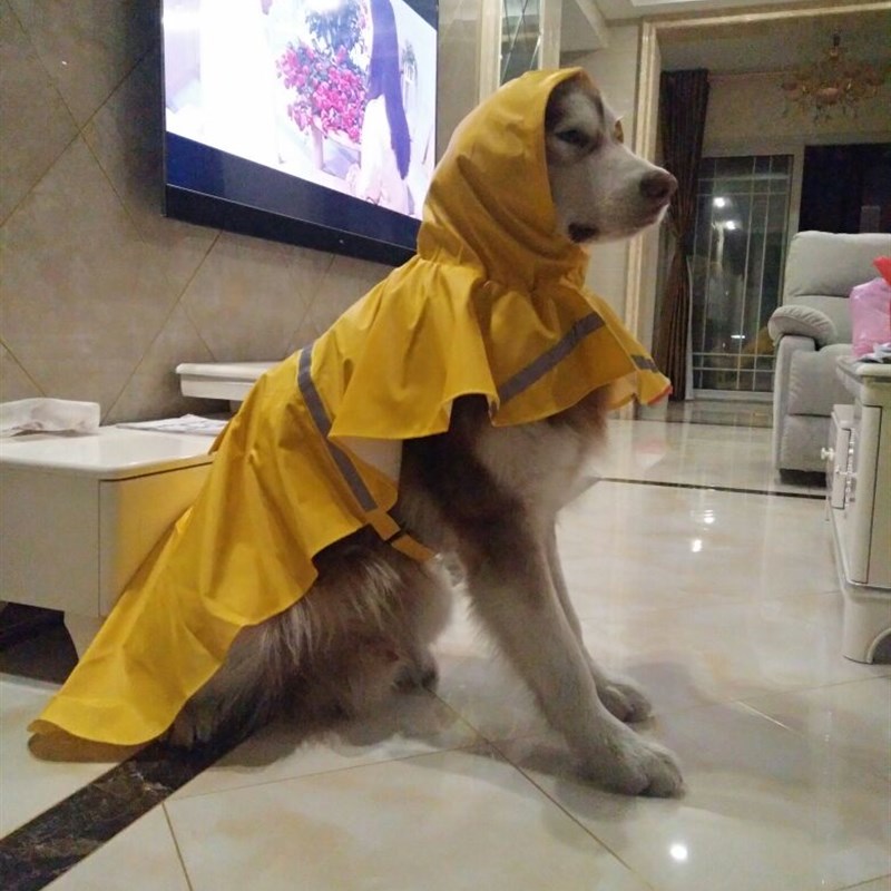 大型犬雨衣狗狗宠物雨披巨型犬大丹犬阿拉斯加金毛雨衣防水定制