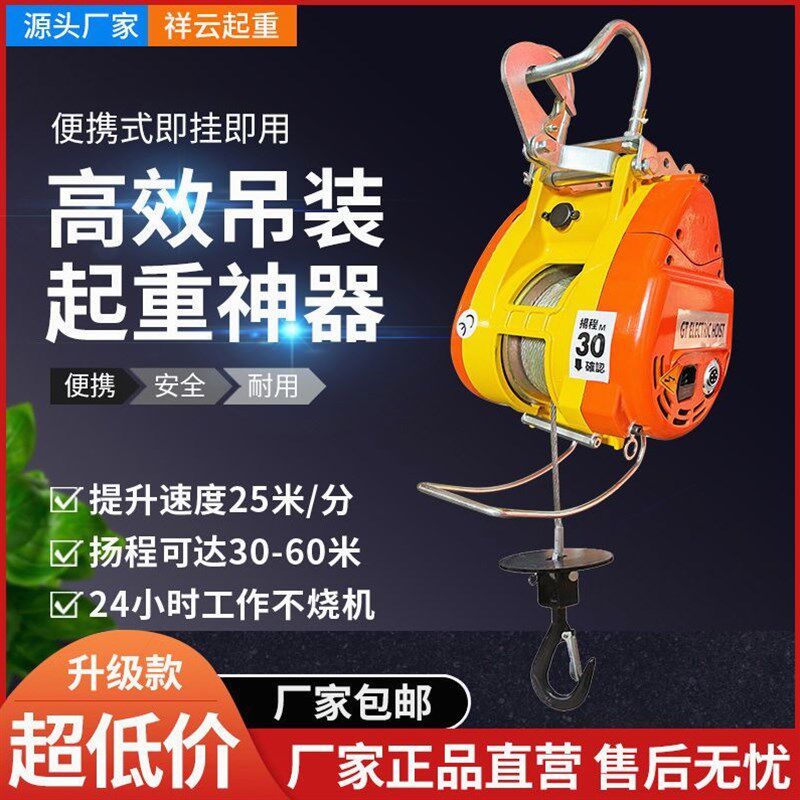 德国进口台湾双孔小金刚电动葫芦220V快速微型便携悬挂0.5T吊机小