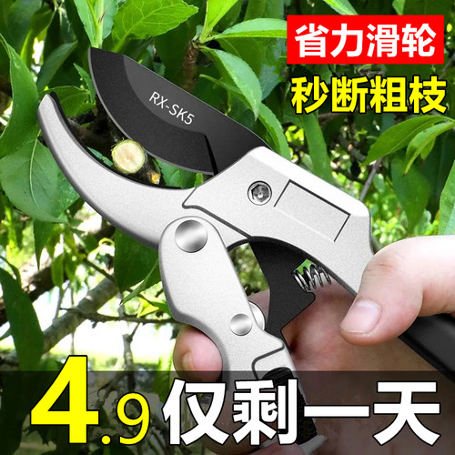 艺园剪刀修剪树枝花园植物草进口sk5果树摘果花枝专用修枝剪园艺