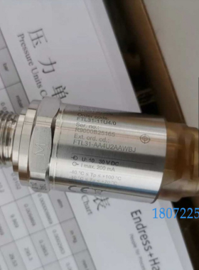 音叉液位开关 E+H FTL31-11U4/0 FTL31-AA4U3BAWSJ