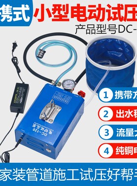手提式电动试压泵 DSY-60/25/100管道试压泵 打压泵 测试泵全铜头