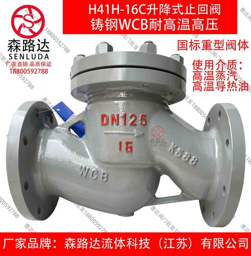 H41H-16C/25C升降式止回阀铸钢法兰止回阀蒸汽止回阀导热油止回阀