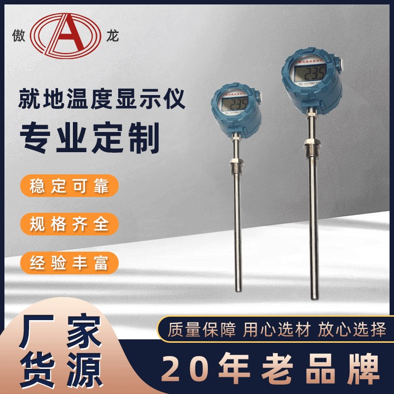 高精度新款式就地显示仪防爆型数显温度计防水工业仪表PT100