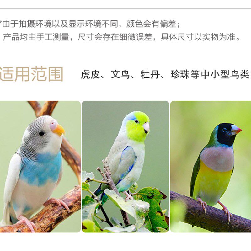 达洋直营 小号鸟笼子铁艺鹦鹉笼家用珍珠玉鸟文鸟画眉入门级A105