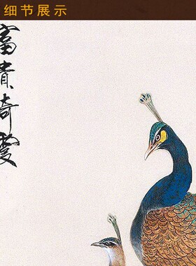 富贵绮霞图 孔雀牡丹花鸟画 书房玄关装饰画卷轴挂画国画来图定制