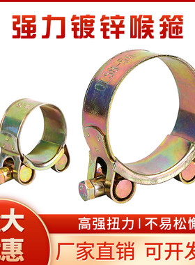 彩镀锌欧式强力喉箍加厚管箍重型管夹抱箍卡箍紧箍水管油管钢丝管