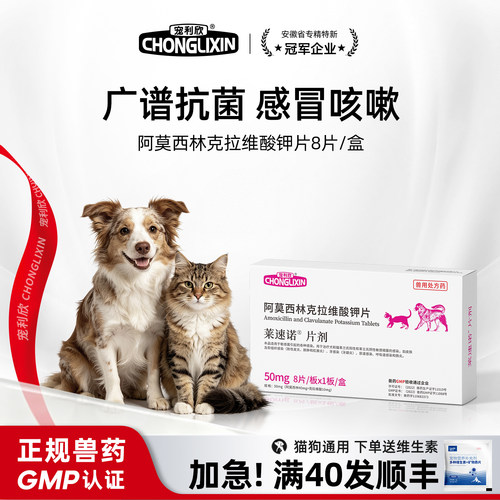 莱速诺阿莫西林克拉维酸钾片宠物猫咪狗狗专用消炎猫用鼻支特效药