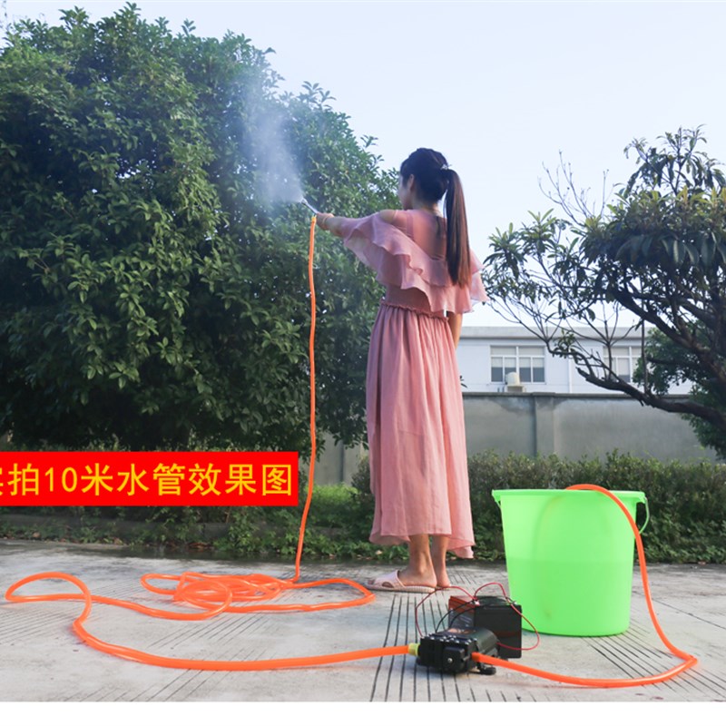 12伏电动农用喷雾器手提式打药机洗车抽水机苗圃果树12V撒药机器
