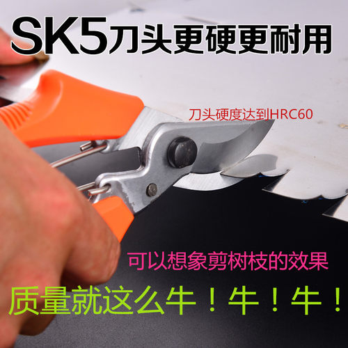 新款园艺剪刀进口SK5果树花枝粗枝修枝剪多功能家用省力树枝剪刀