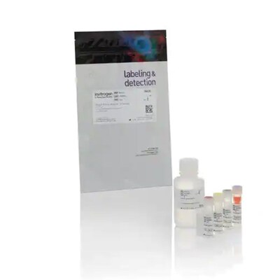 赛默飞 Invitrogen Qubit RNA High检测试剂盒 Q33211