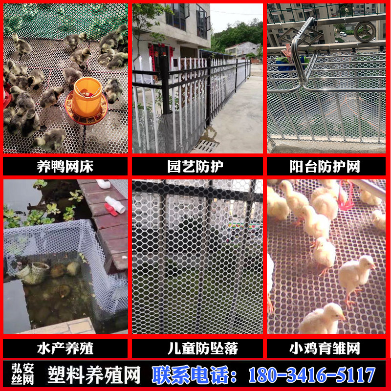 绿色塑料网花艺网格植物爬藤网育雏漏粪网养鸡鸭鹅兔网园艺隔离网