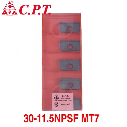 德国CARMEX卡迈斯CPT 30-11.5NPSF MT7
