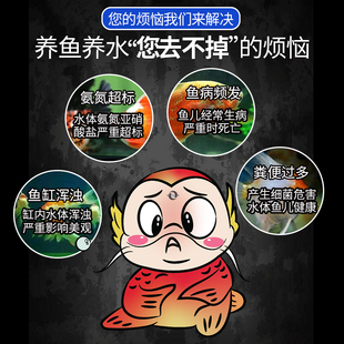 壹诺硝化细菌鱼缸用净水剂水族鱼药水质稳定剂净化剂消化细菌一诺