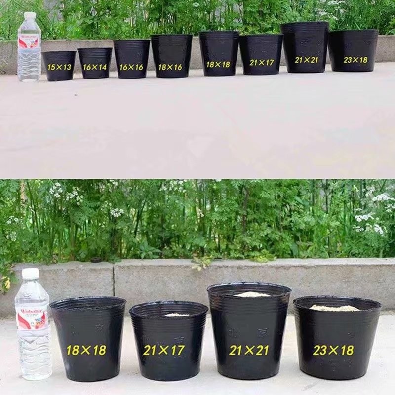 加厚营养钵树苗营养杯育苗杯一次性花盆黑色软塑料育苗盆育苗袋小