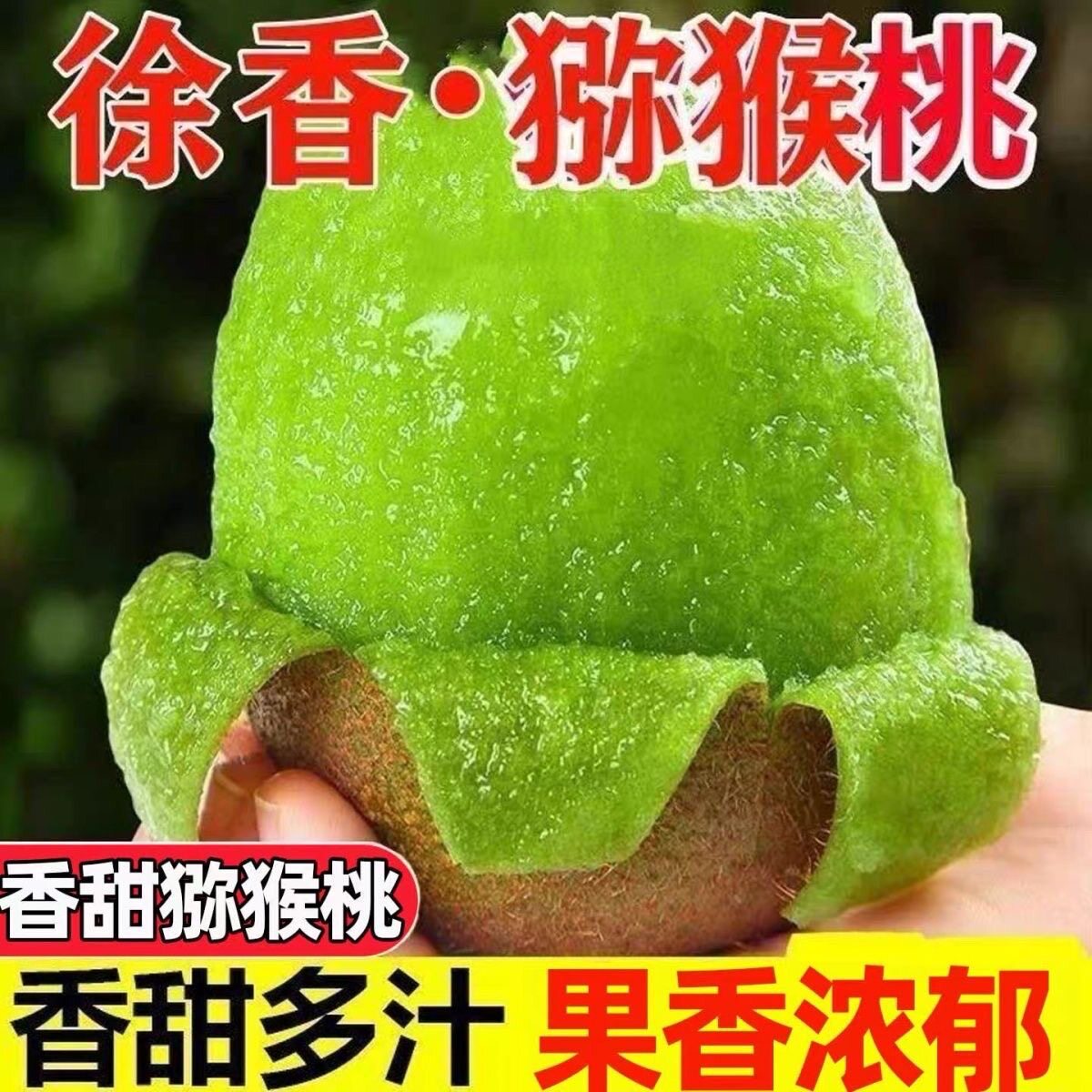 顺丰快递包邮到家新鲜爆甜徐香