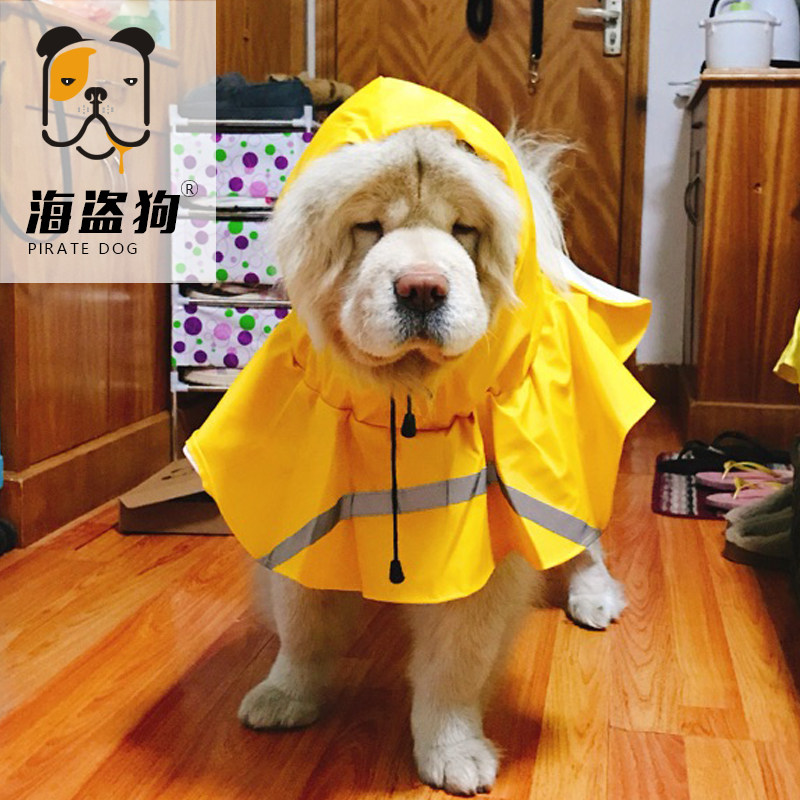 海盗狗新款黄色英伦松狮雨衣狗狗雨披宠物大中型犬定制防水图片