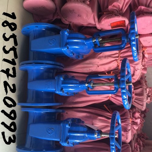 Z41X-16Q软密封闸阀 明杆弹性座封闸阀 自来水闸阀DN50 65 80 100