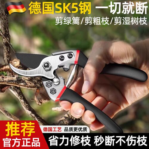 德国精工修枝剪园艺剪刀剪树枝剪刀园林修剪果树修枝花艺修花剪