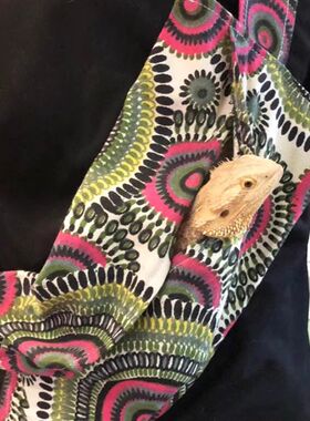 爬宠外出包睫角守宫蜥蜴变色龙鬃狮蓝舌蜥外带包爬虫角蛙旅行背包