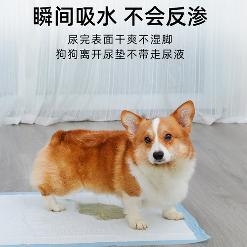 超大号除臭吸水宠物狗狗尿垫诱导因子尿片垫加厚猫咪厕所引导尿片