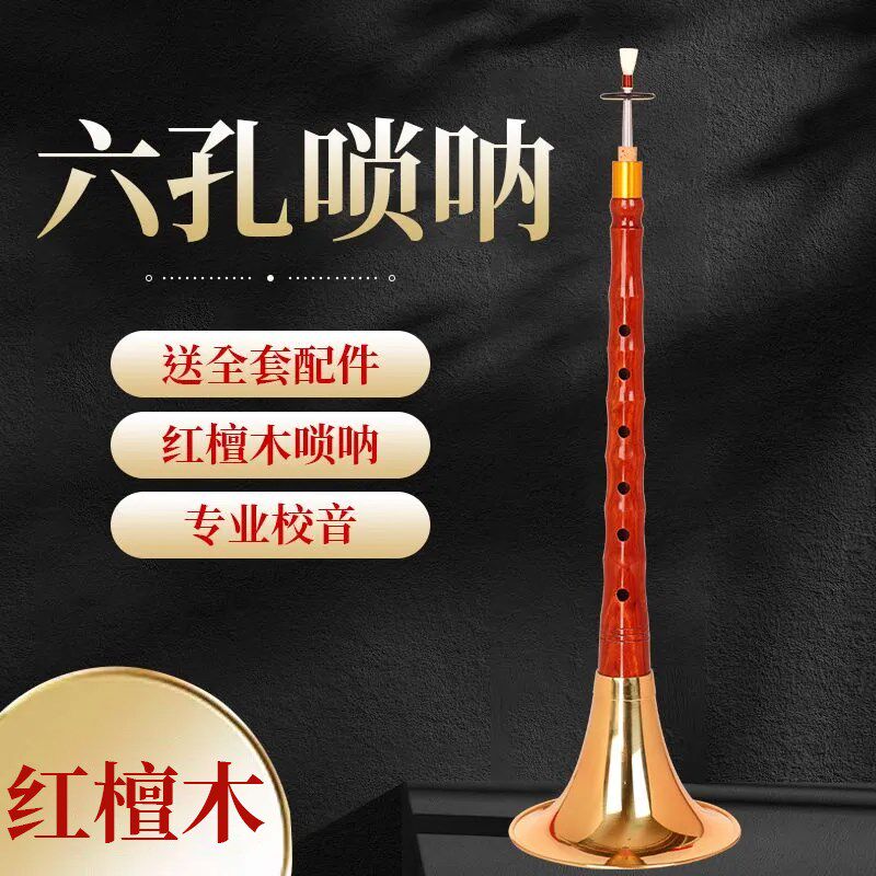 红檀木六孔唢呐6孔初学者乐器笛子唢呐喇叭全套专业降B调D调演奏