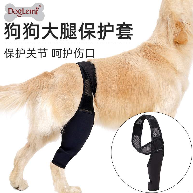 狗狗固定护具狗后腿支架残疾狗腿辅助狗腿瘸带护膝手术受伤保护套