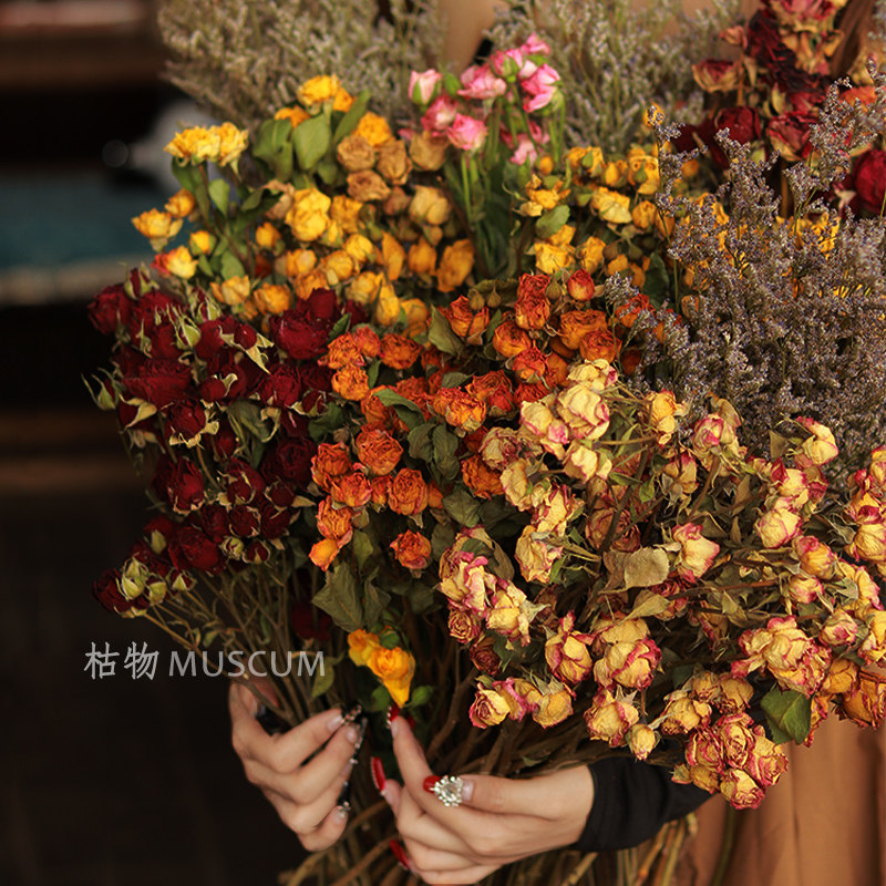 干花花束多头玫瑰风干真花毕业拍照复古客厅装饰摆件天然家居摆设