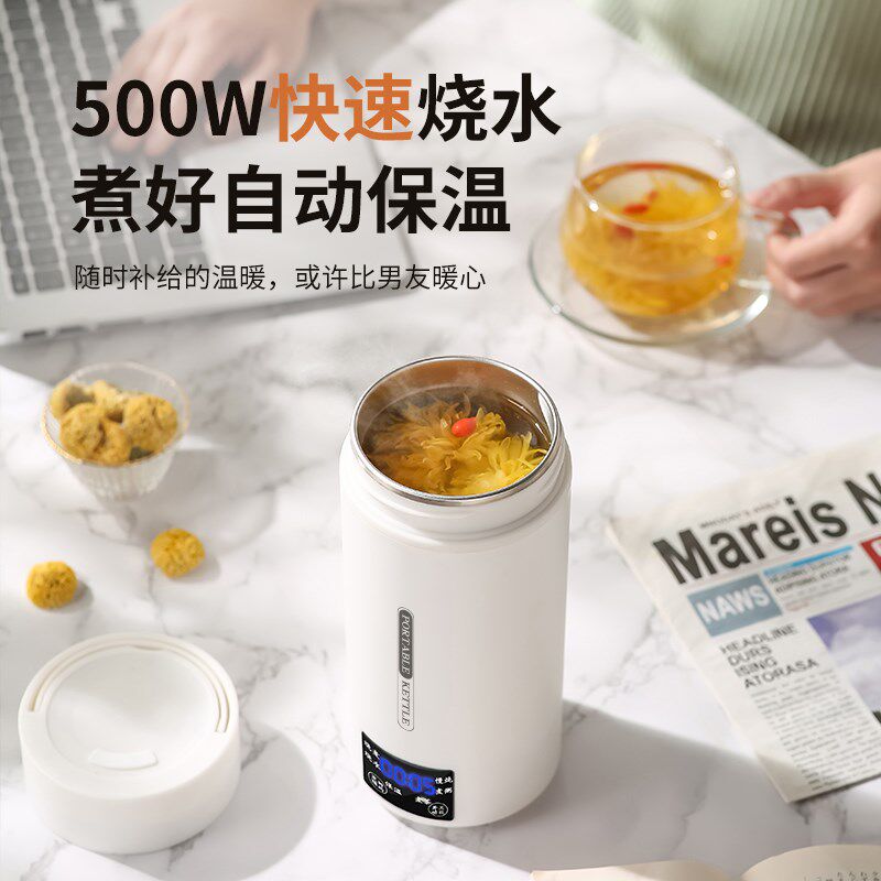 电炖杯多功能电热水杯小型养生杯便携式煮茶壶宿舍煮粥炖煮一体壶