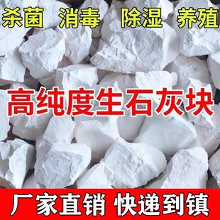 100斤正宗生石灰块状鱼塘消毒杀菌刷树氧化钙畜养殖场牧净化水质