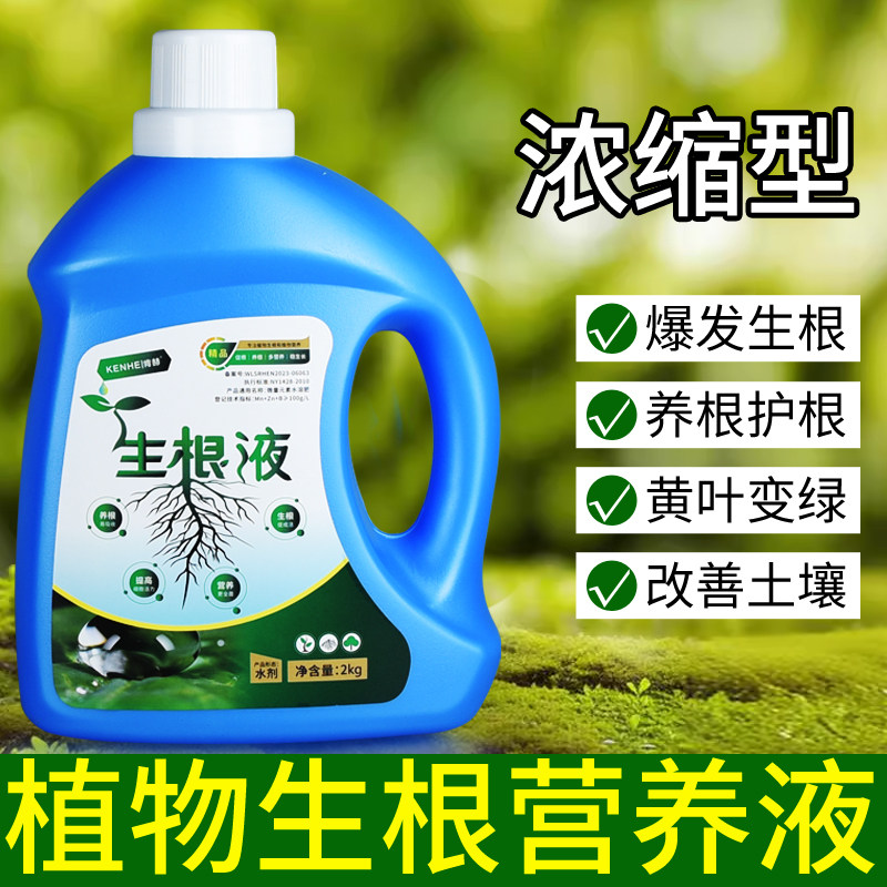 生根液植物通用扦插专用移栽果树生根剂复活营养液高浓缩室内盆栽