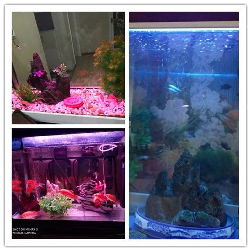 水族专用鱼缸灯三基色T8灯管灯胆粉红蓝白色光10/15/20/25/30/40W