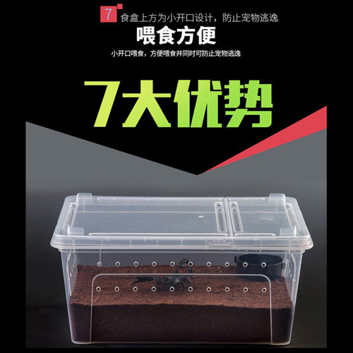 宠物爬虫饲养盒爬宠箱角蛙守宫蜥蜴蛇昆虫蟋蟀蜘蛛乌龟蟑螂人渣盒