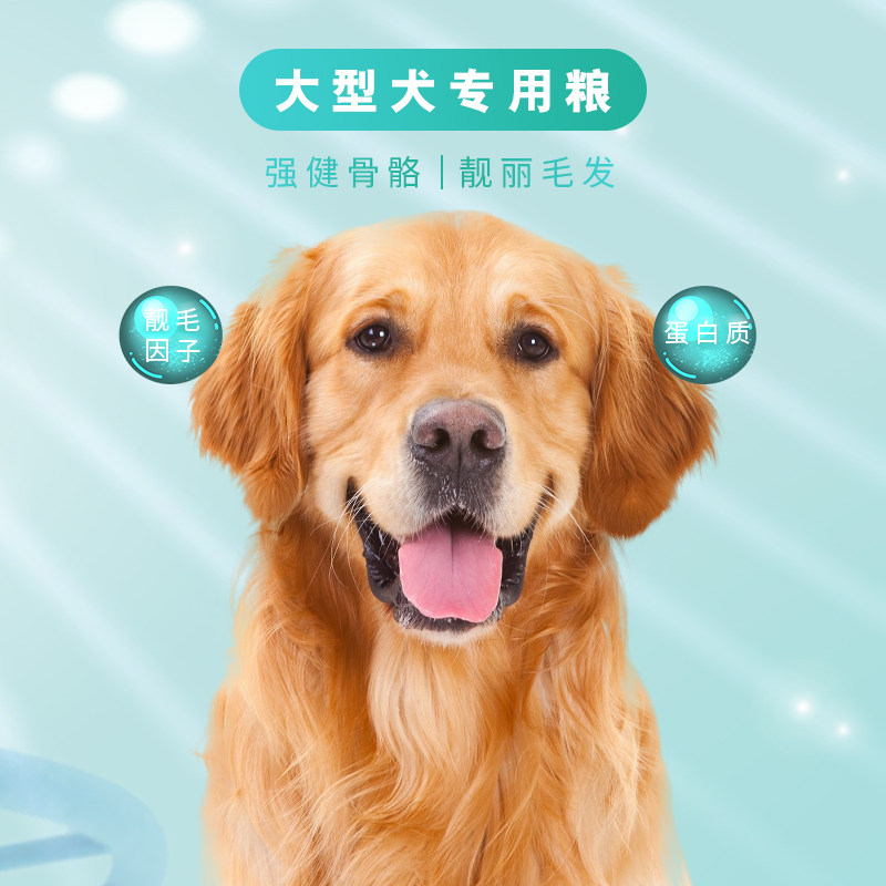 贝能星金毛拉布拉多专用狗粮中大型犬阿拉斯加马犬通用型20斤装