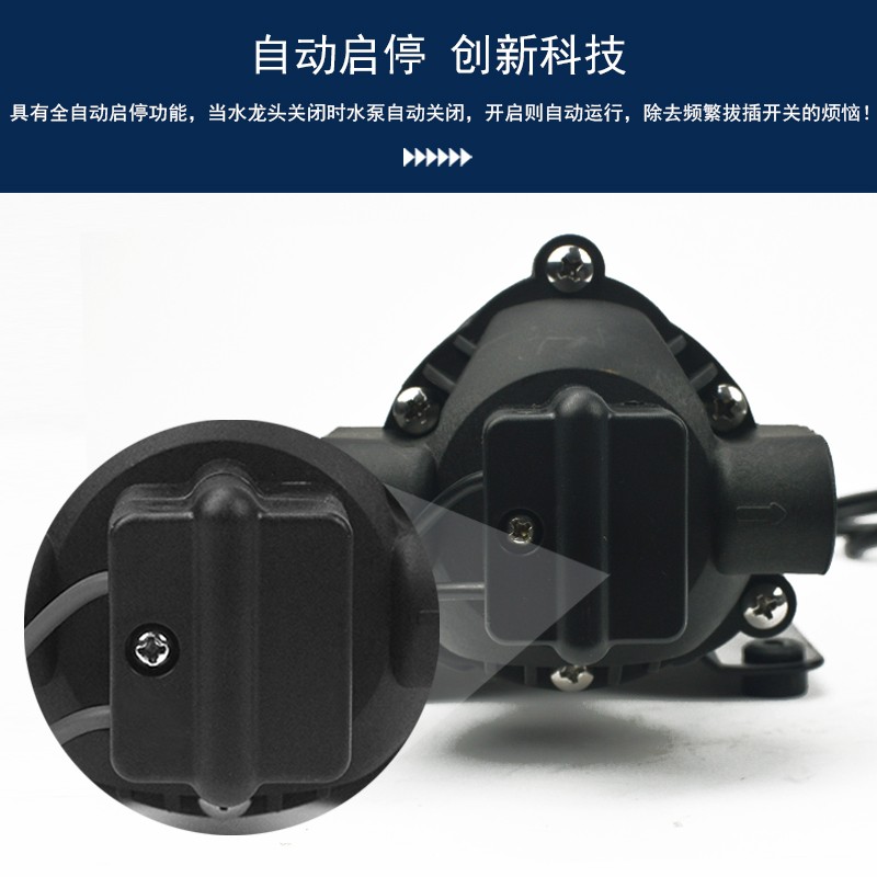 DP-160S 隔膜高压喷雾水泵直流交流往复式自吸泵净水器压路机增压