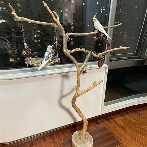 干树枝原木杈艺术干枝枯木树干鸟站架造型壁鹦鹉站架吊顶龙骨装饰