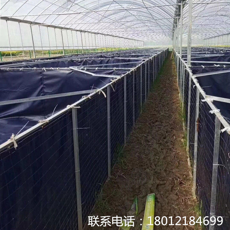 大型折叠帆布养殖鱼池大棚龙虾蚂蝗牛蛙水蛭刀刮布高密度篷布包邮