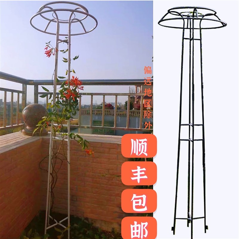 伞形花架家庭园艺铁艺铁架户外爬藤架室外花园花架铁线莲花支架子