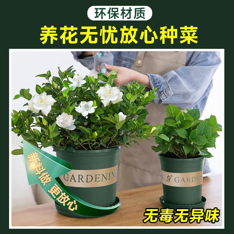 加仑盆花盆家用阳台种植盆栽盆大托盘塑料加厚种菜盆神器三代耐用