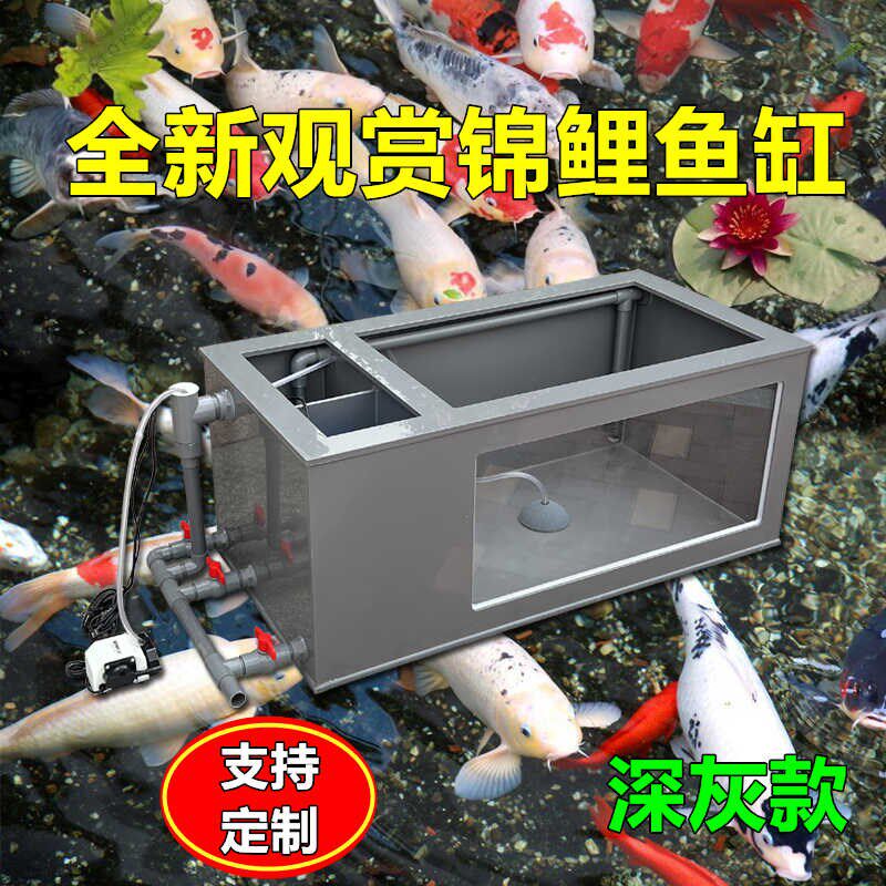 超白玻璃观赏鱼池侧部过滤锦鲤鱼箱客厅阳台金鱼兰寿龙鱼轻体鱼缸