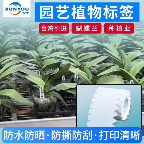 园艺标签插牌植物标签防水标记牌