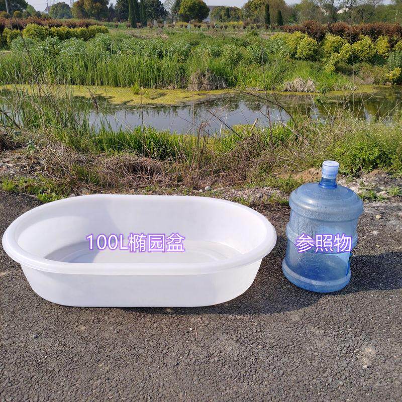 大号加厚耐用牛筋盆白色塑料盆特大号加深高圆盆养殖塑胶盆椭圆形