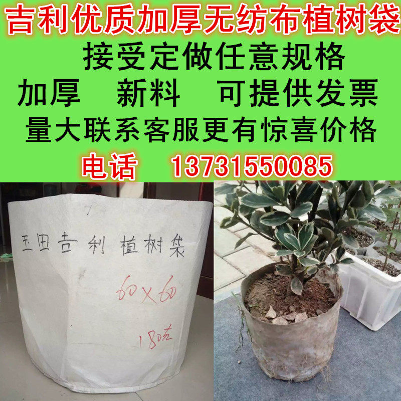 加厚不织布植树袋 优质美植袋 营养鉢 特大白色树苗袋 柑橘育苗袋